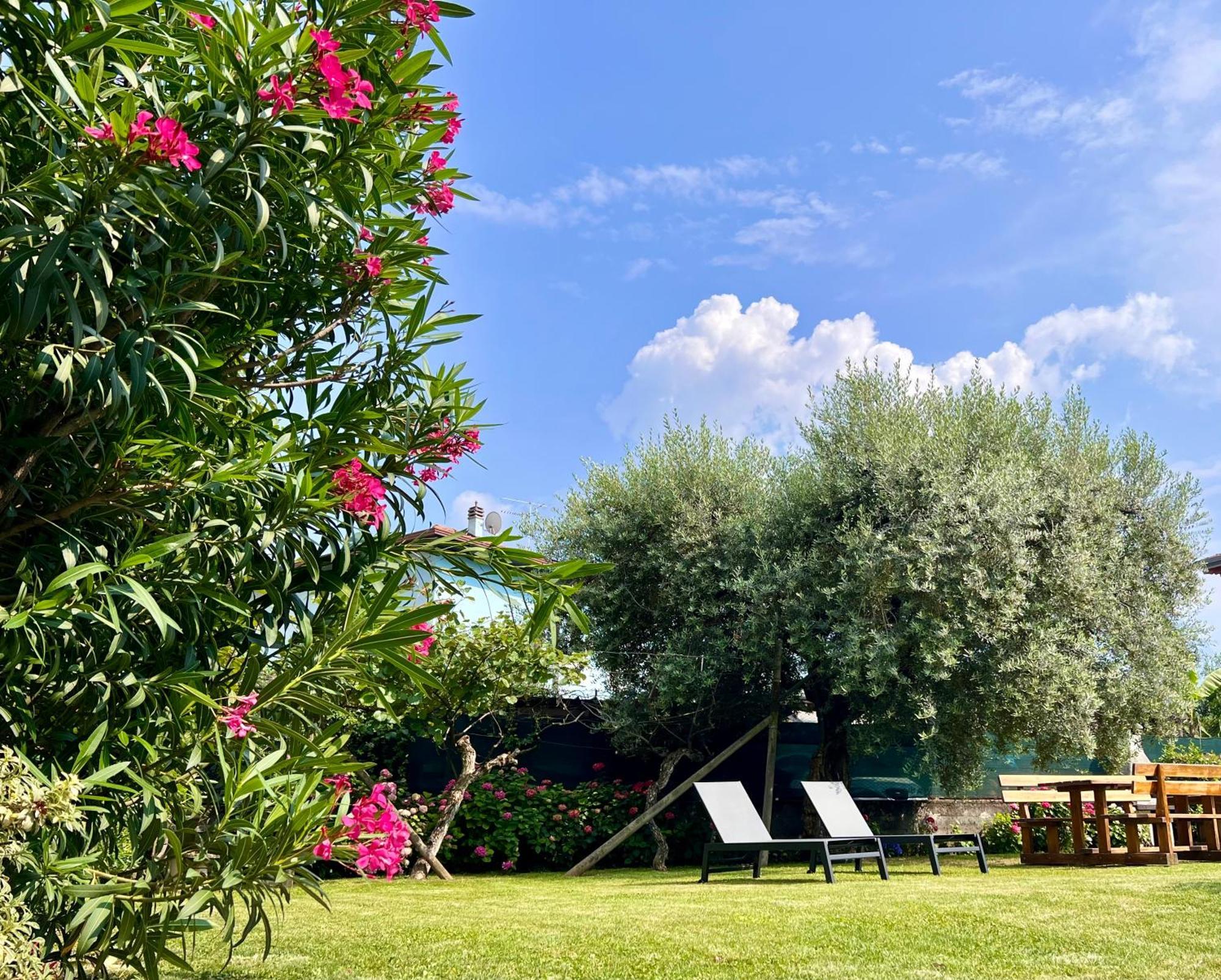 ריבה דל גארדה Villa Verde מראה חיצוני תמונה