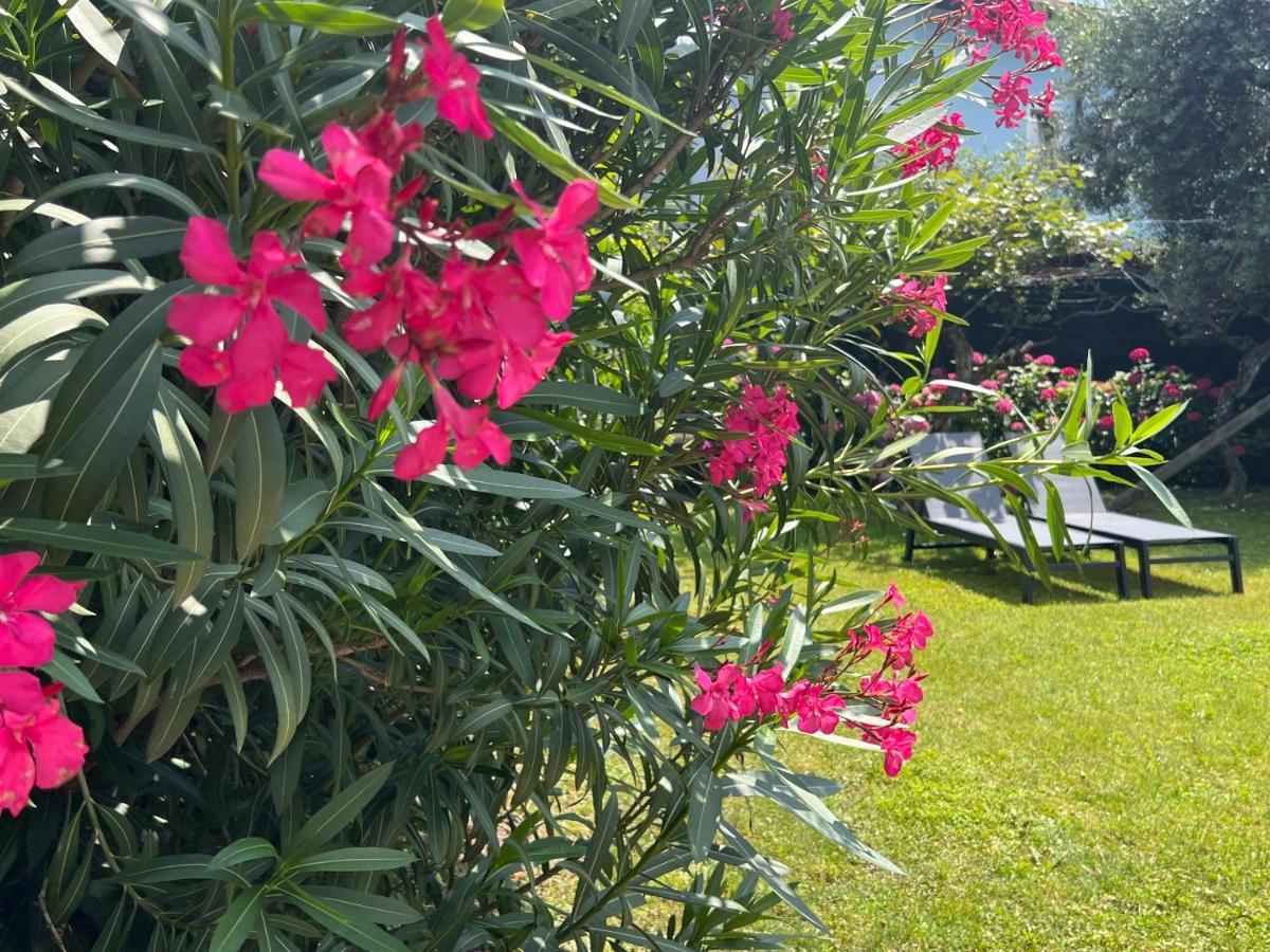 ריבה דל גארדה Villa Verde מראה חיצוני תמונה
